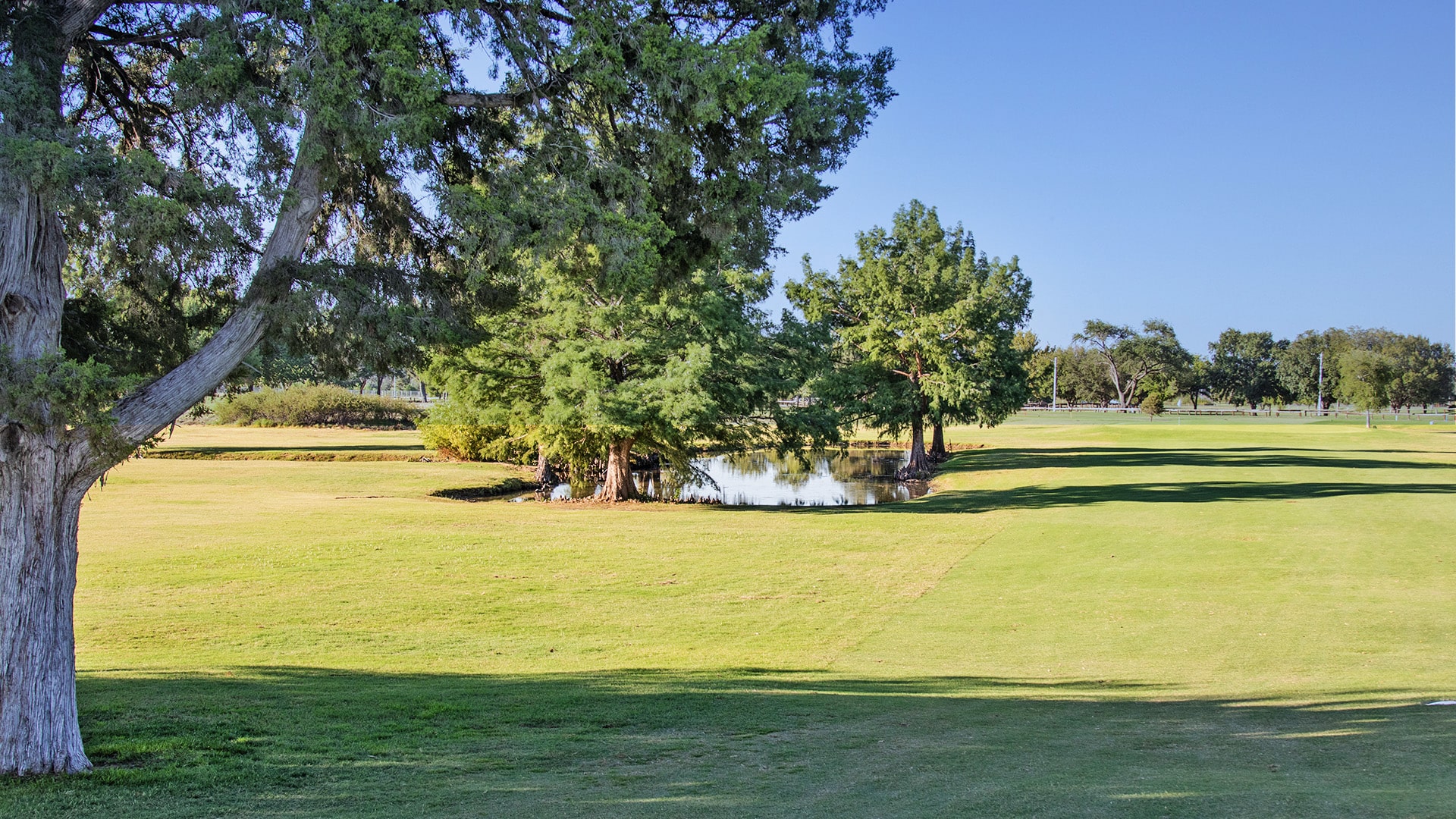 Sayre National Golf Course, Hole 5 - 'Double Trouble': Large tree, pond, and lush green.